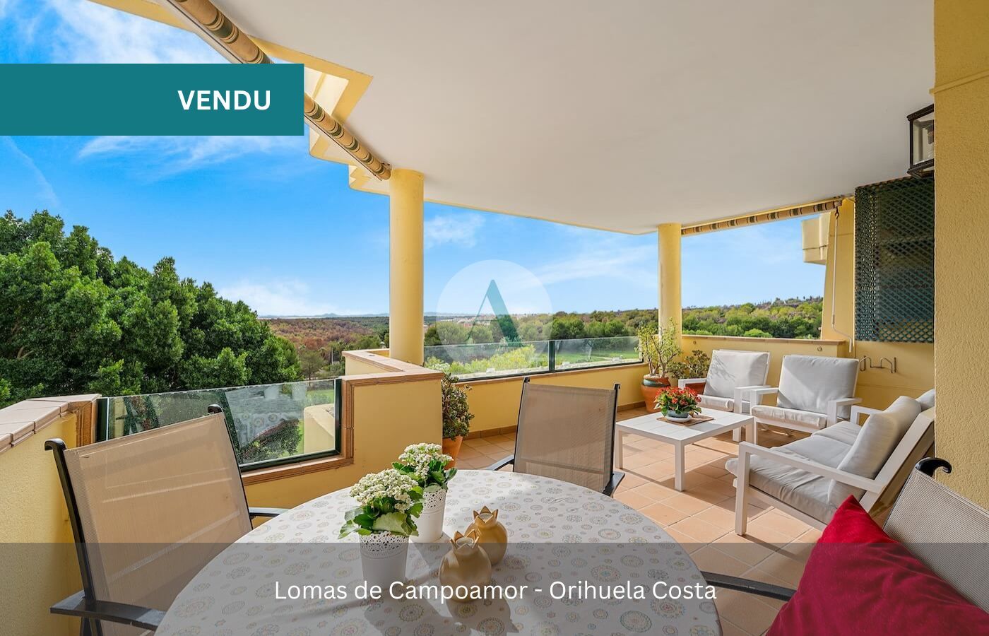 Campoamor agence immobilier